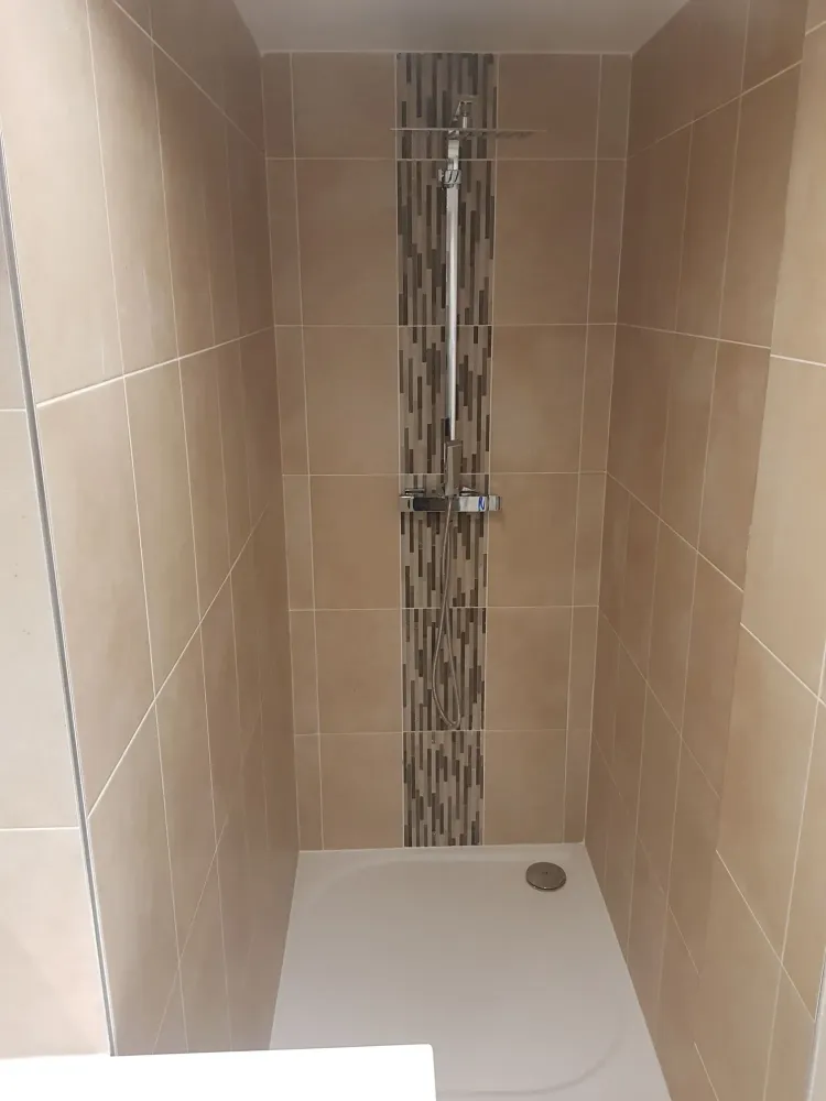 Aménagement et Rénovation de Salle de Bain (24webp